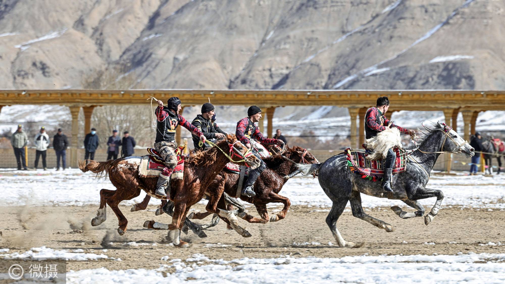 坚韧精神：马术选手跌倒后坚持比赛的简单介绍