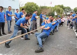 拔河比赛：团队协力获胜