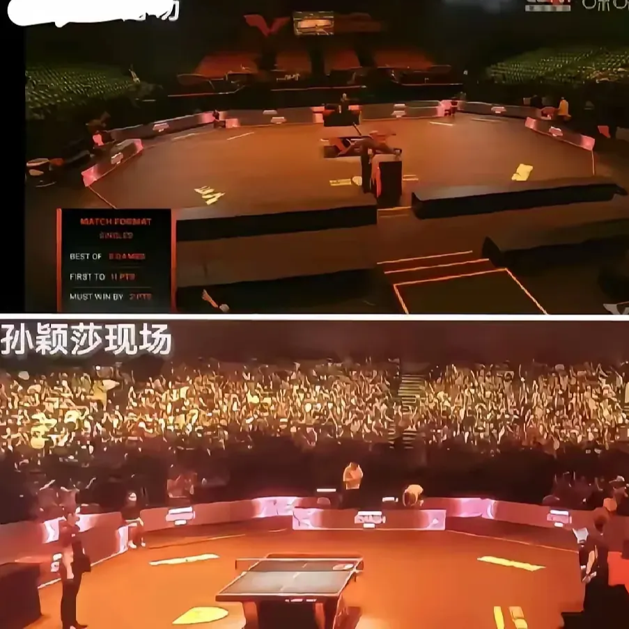 精彩比赛掀起狂潮，粉丝欢呼连连的简单介绍