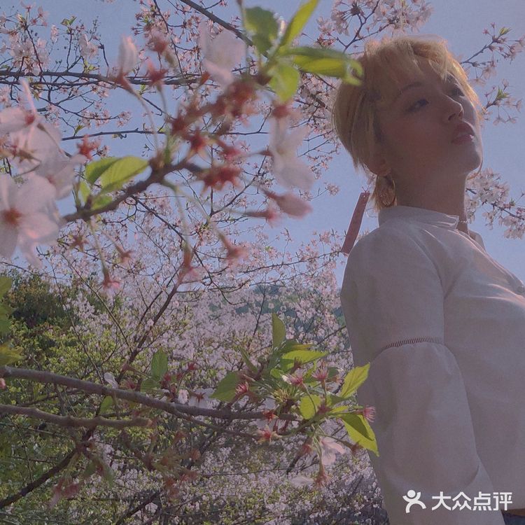 开云官网-包含樱花遭逆转，憾负比赛遗憾告终的词条