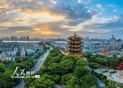 开云平台-武汉卓尔客场失利，欲保持前八位置的简单介绍