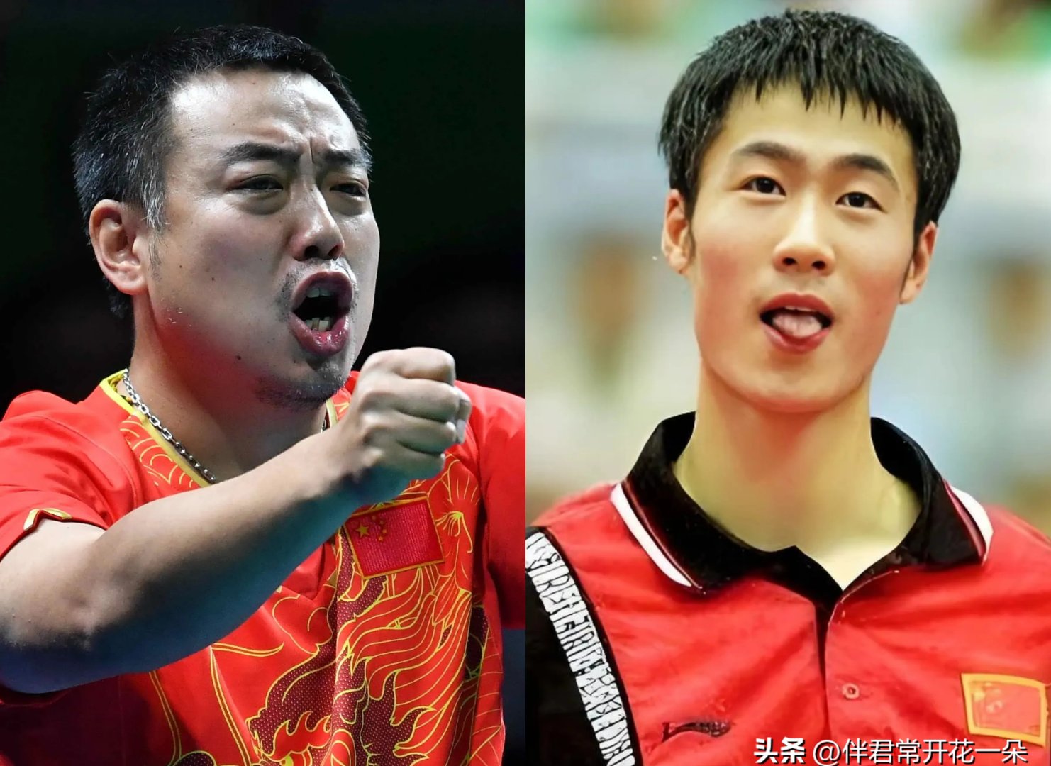 开云APP-乒乓球明星刘国梁将转会