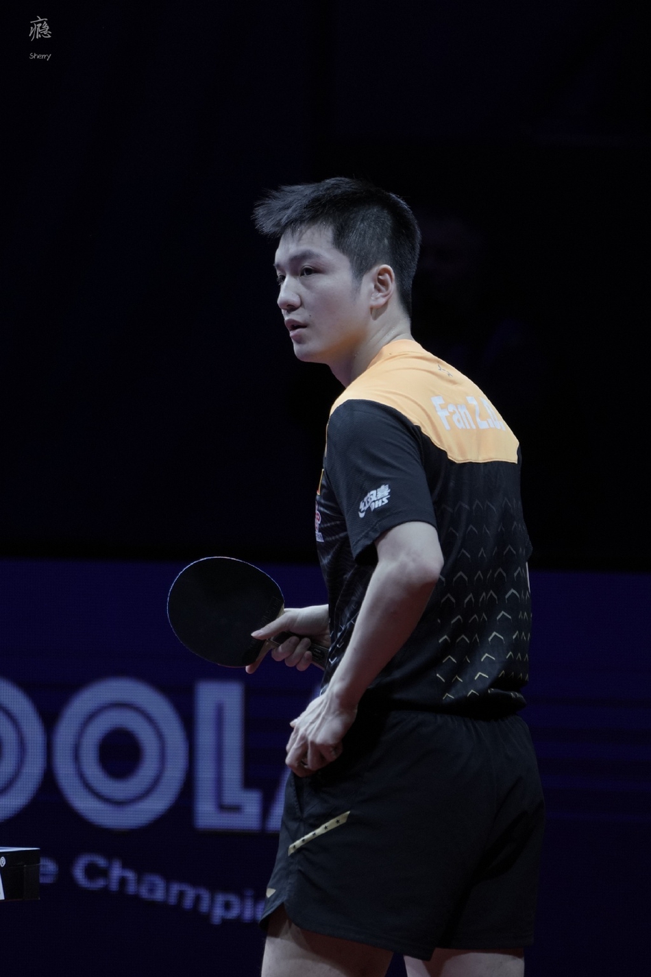 开云体育在线-匈牙利国家队展现实力，杀入欧预赛四强!