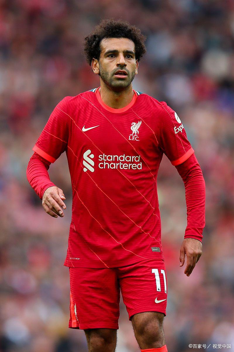 开云体育入口-里尔在主场遭遇逆转，遗憾失利的简单介绍