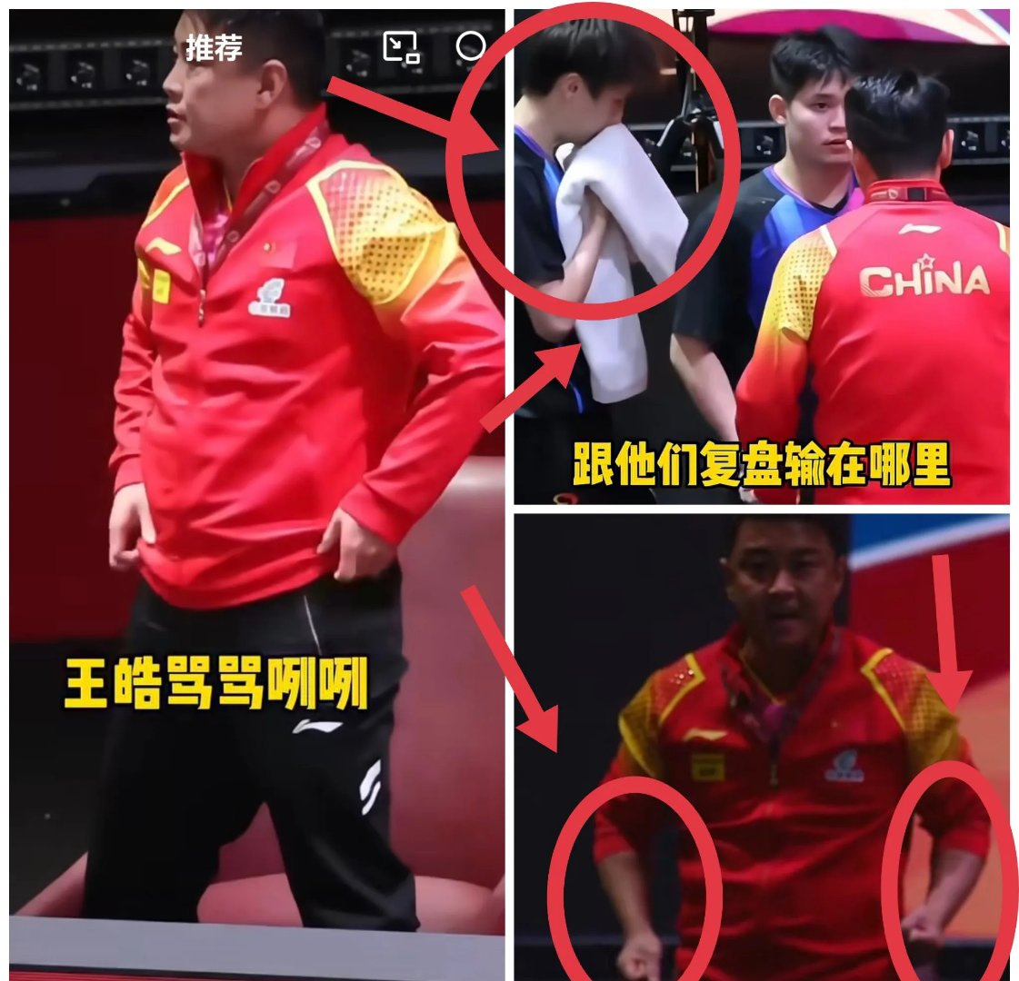 日本乒乓球队碾压法国乒乓球队，王皓送出助攻的简单介绍