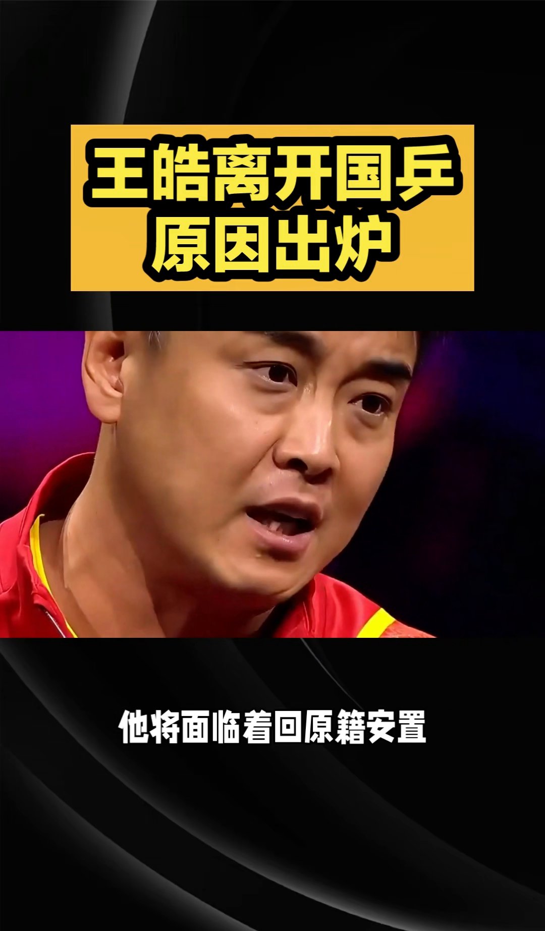 开云下载-包含中国乒乓球队绝杀德国乒乓球队，王皓送出助攻的词条